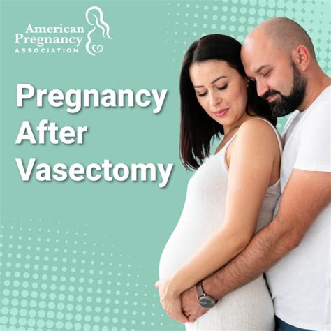 odds of pregnancy after vasectomy|can you get pregnant after vasectomy.